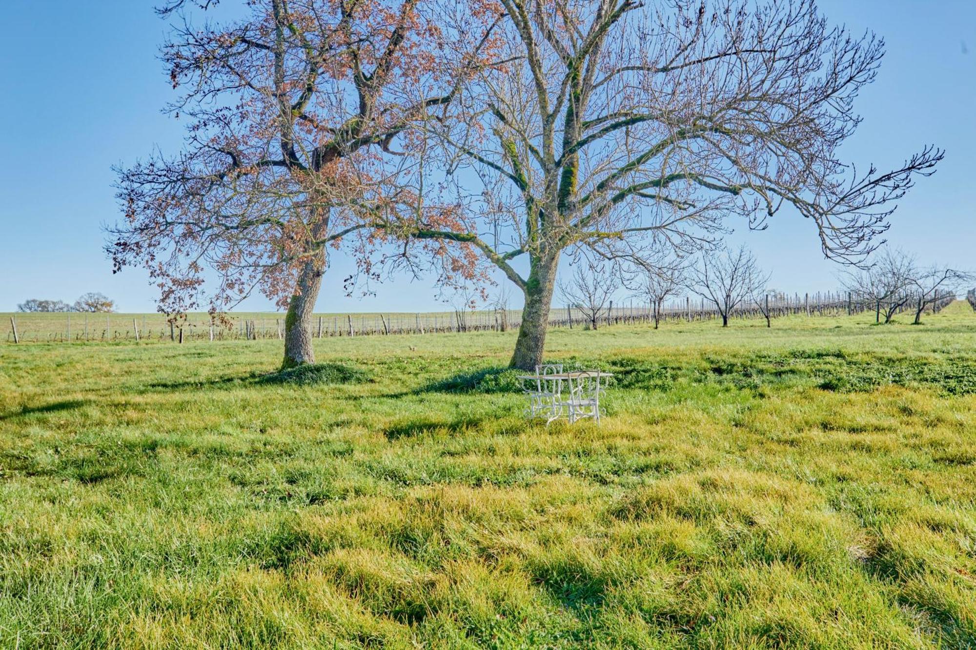 Valence-sur-Baise Chambres D'Hotes De Charme Avec Piscine - Le Clos Boissiere מראה חיצוני תמונה